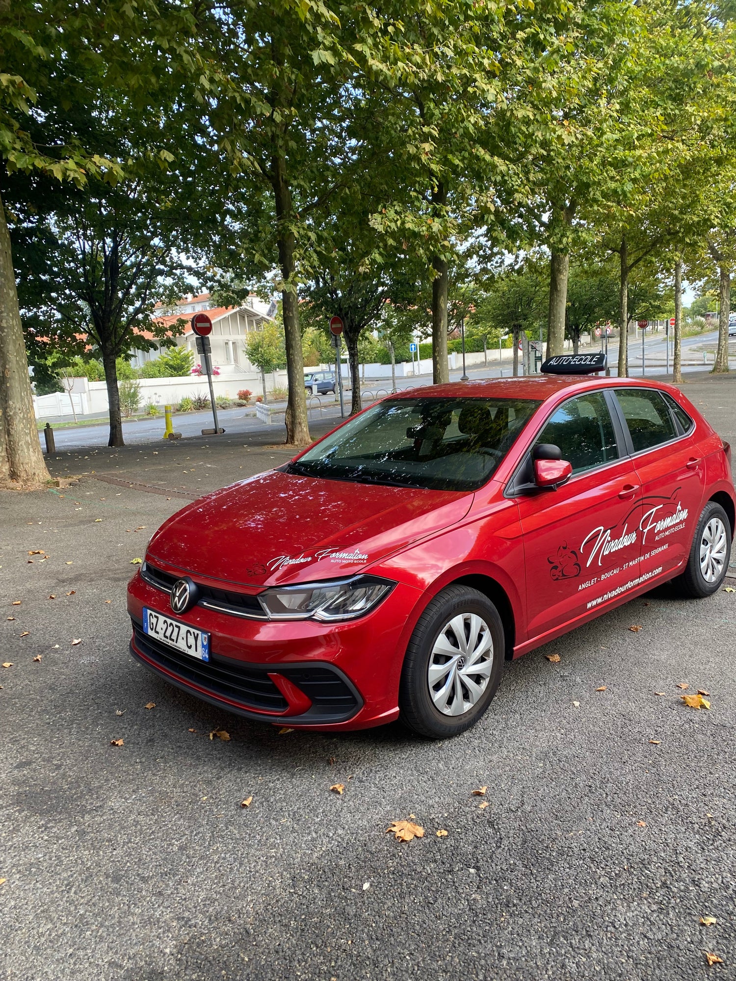 Stage de Code Intensif : La Solution Rapide pour Réussir son Examen du Code de la Route à Saint-Palais